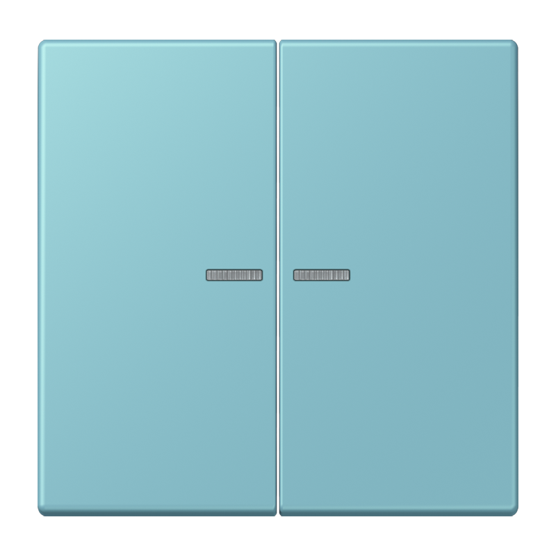 Изображение LC995KO5213  Клавиша с окошком - завод JUNG