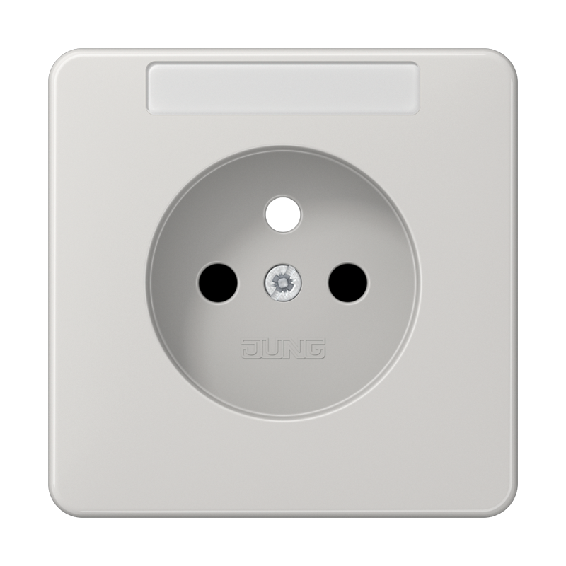 Изображение CD1521FKINALGP1  Накладка - завод JUNG
