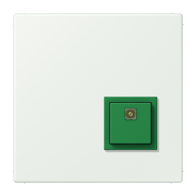 Изображение NRSLC0834AT210  Reset button - завод JUNG