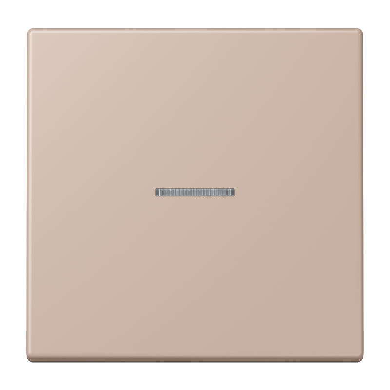 Изображение LC101KO5240  Клавиша с окошком - завод JUNG