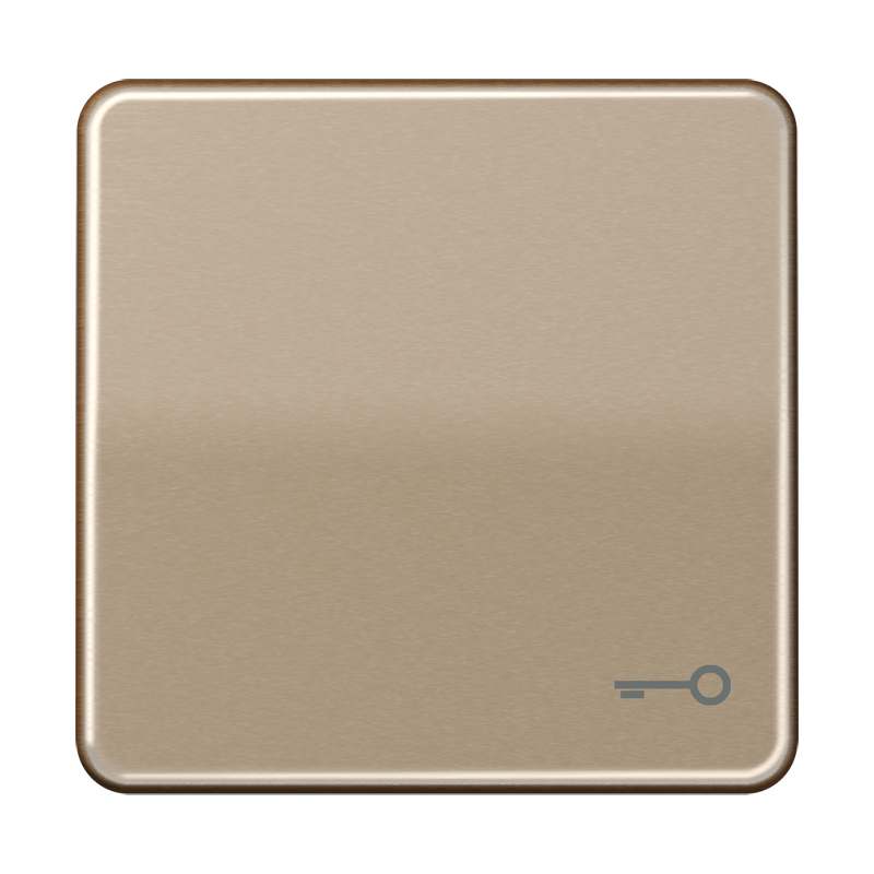 Изображение CD590TGB  Клавиша с символом «ключ» - завод JUNG