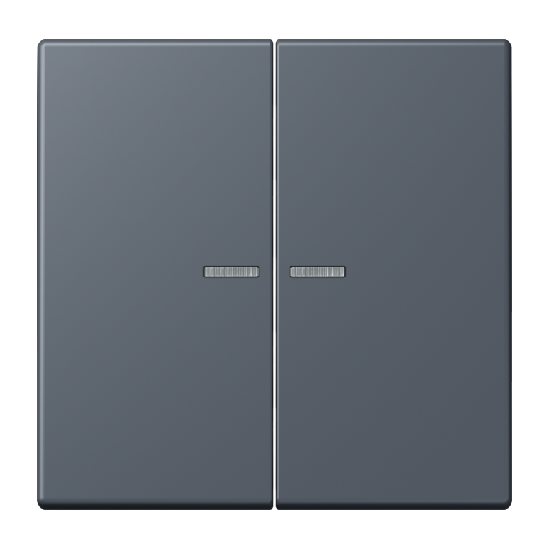 Изображение LC102KO5262  Клавиша с окошком - завод JUNG