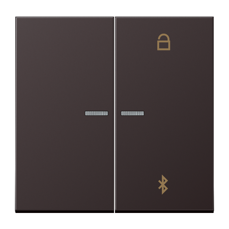 Изображение AL1751BTD  Таймер универсальный Bluetooth - завод JUNG