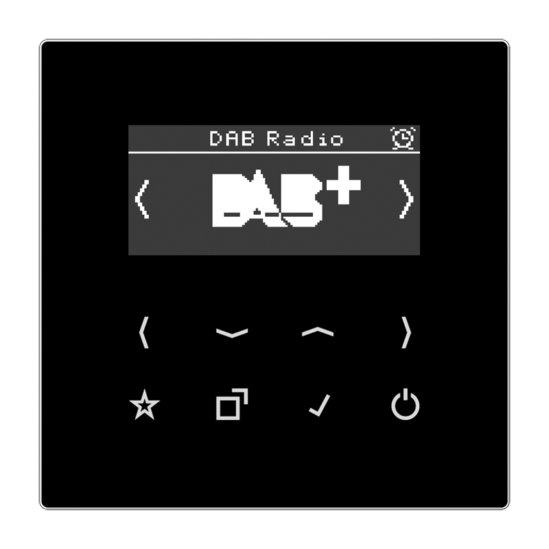 Изображение DABLSSW  Смарт радио DAB+ с сенсорным нажатием - LS (черный) - завод JUNG
