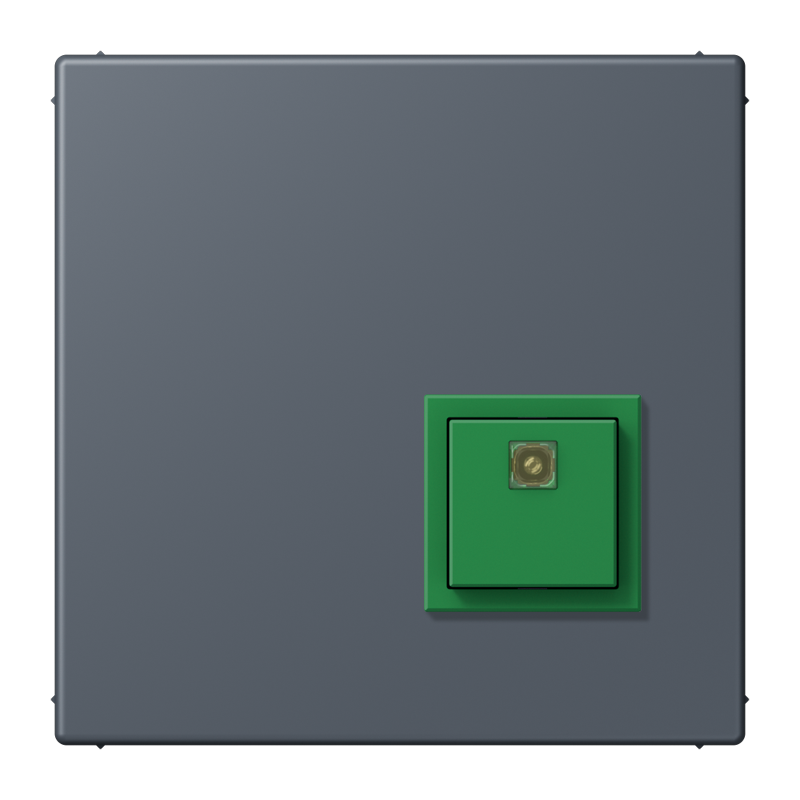 Изображение NRSLC0834AT262  Reset button - завод JUNG