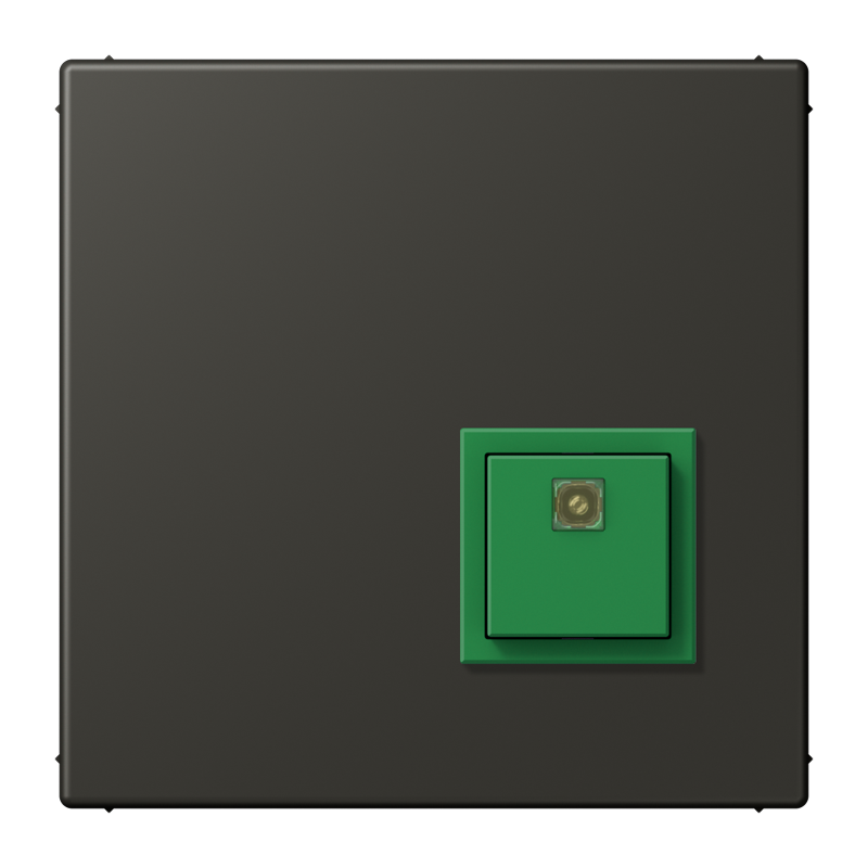 Изображение NRSLC0834AT259  Reset button - завод JUNG