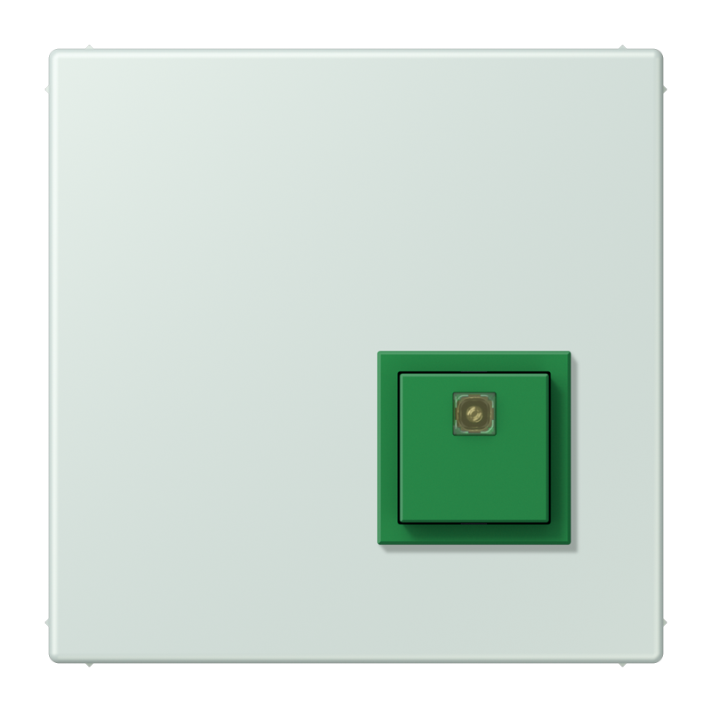 Изображение NRSLC0834AT215  Reset button - завод JUNG