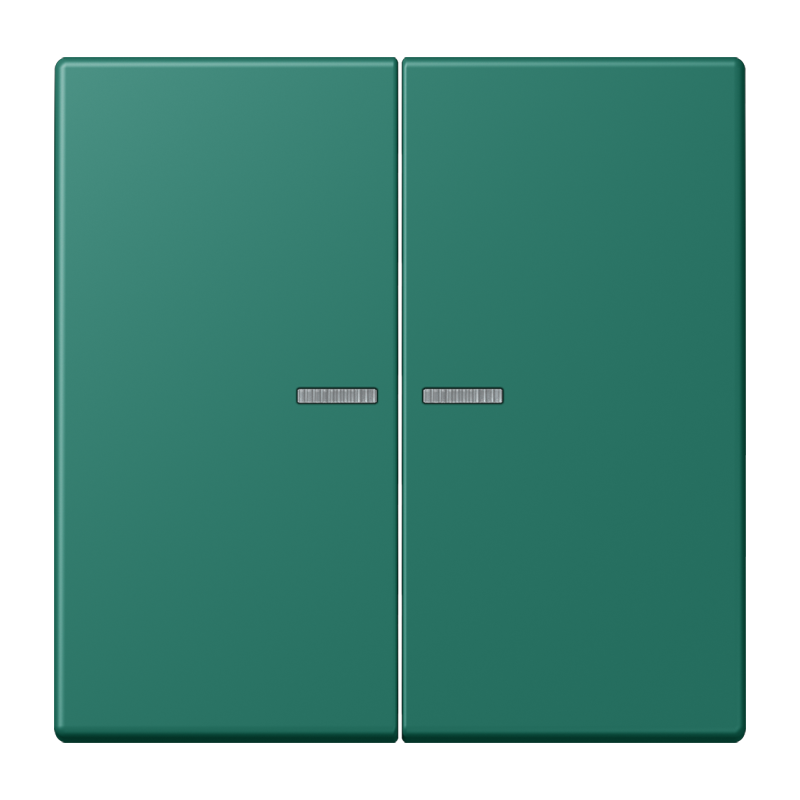 Изображение LC102KO5216  Клавиша с окошком - завод JUNG