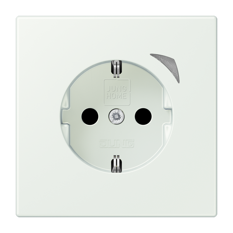 Изображение BTLC1521SE210  JUNG HOME SCHUKO® розетка Energy - завод JUNG