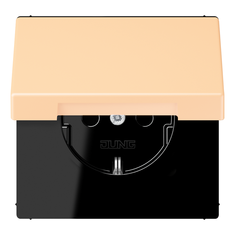 Изображение LC1521BFKIKL223  SCHUKO®-розетка 16 A / 250 B ~ - завод JUNG