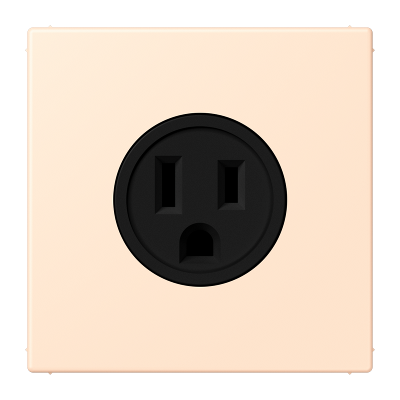 Изображение LC521-15238  Socket, US NEMA system - завод JUNG
