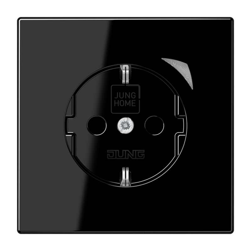 Изображение BTLS1521SESW  JUNG HOME SCHUKO® розетка Energy - завод JUNG