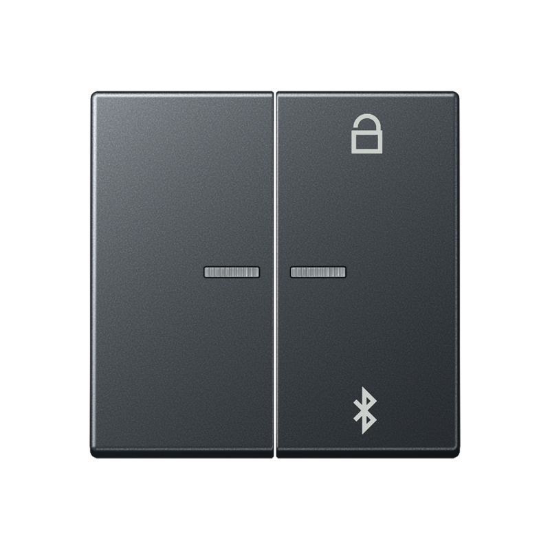 Изображение A1751BFBTANM  Таймер универсальный Bluetooth - завод JUNG