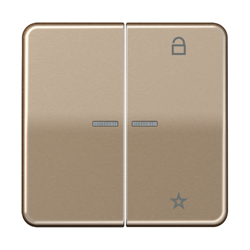 Изображение CD1701GB  Центральная плата универсальная - завод JUNG