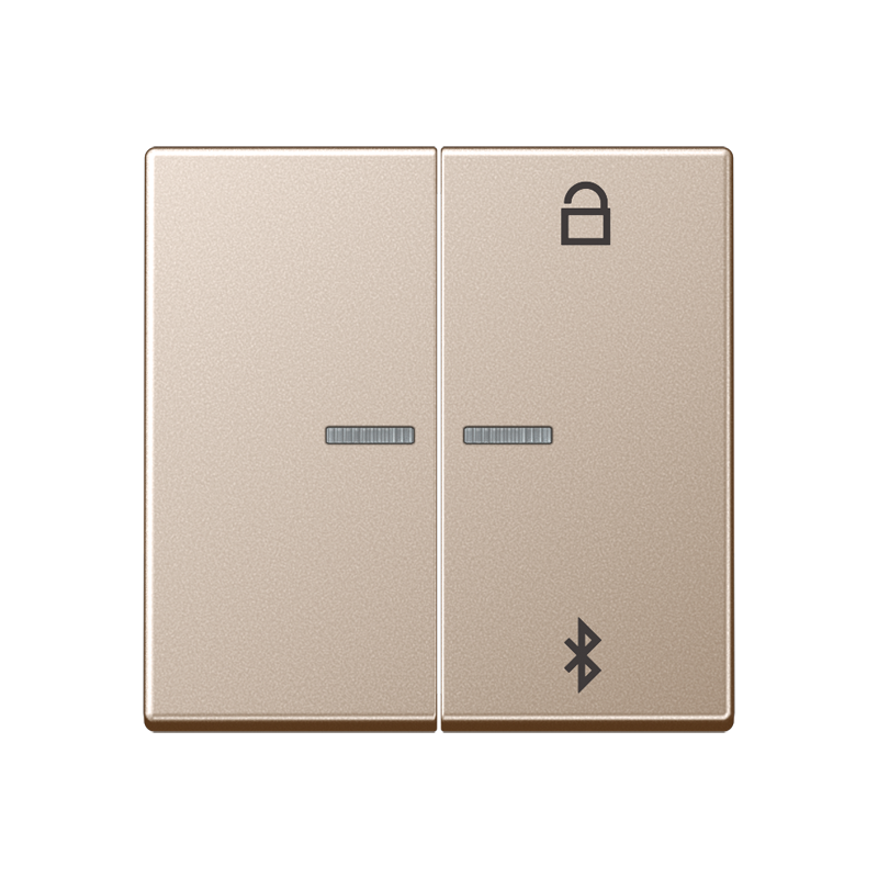 Изображение A1751BTCH  Таймер универсальный Bluetooth - завод JUNG