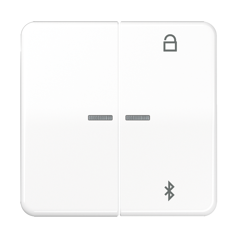 Изображение CD1751BTWW  Таймер универсальный Bluetooth - завод JUNG