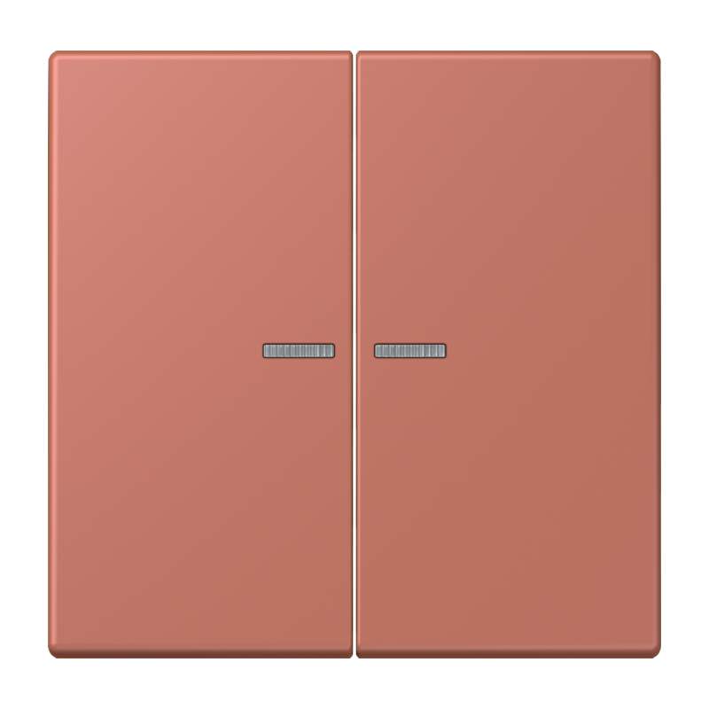 Изображение LC102KO5236  Клавиша с окошком - завод JUNG
