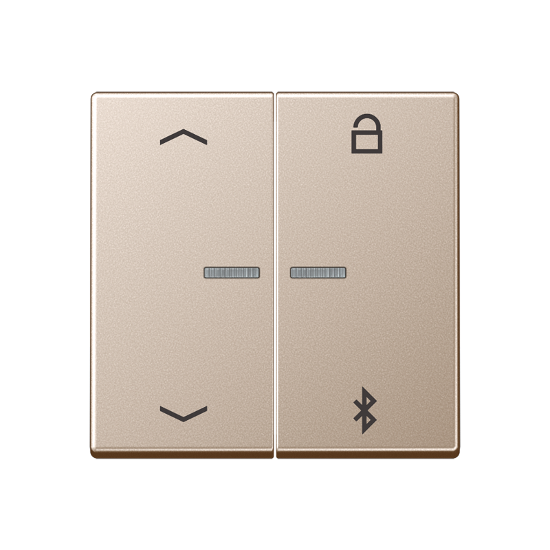 Изображение A1751PBTCH  Таймер универсальный Bluetooth «стрелки» - завод JUNG