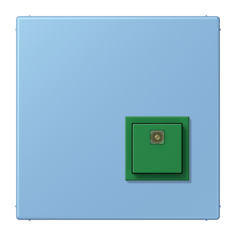 Изображение NRSLC0834AT256  Reset button - завод JUNG