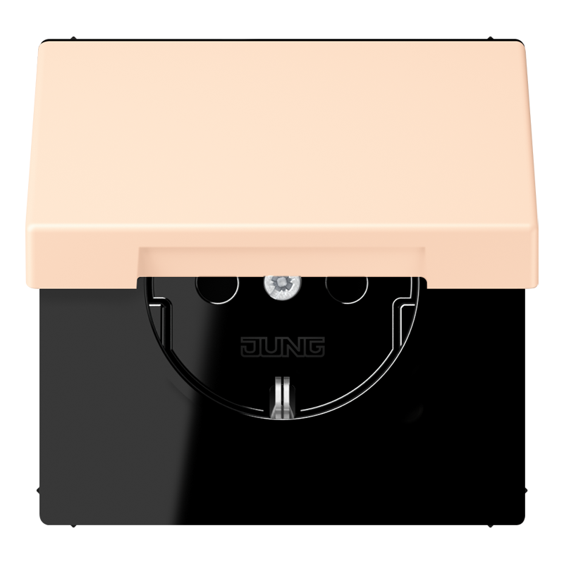 Изображение LC1520BFKIKL238  SCHUKO®-розетка 16 A / 250 B ~ - завод JUNG