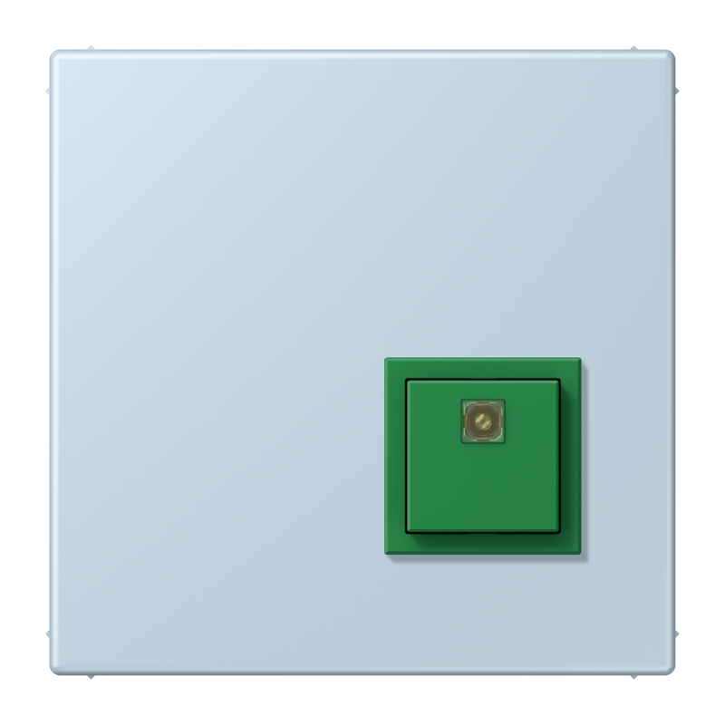 Изображение NRSLC0834AT208  Reset button - завод JUNG