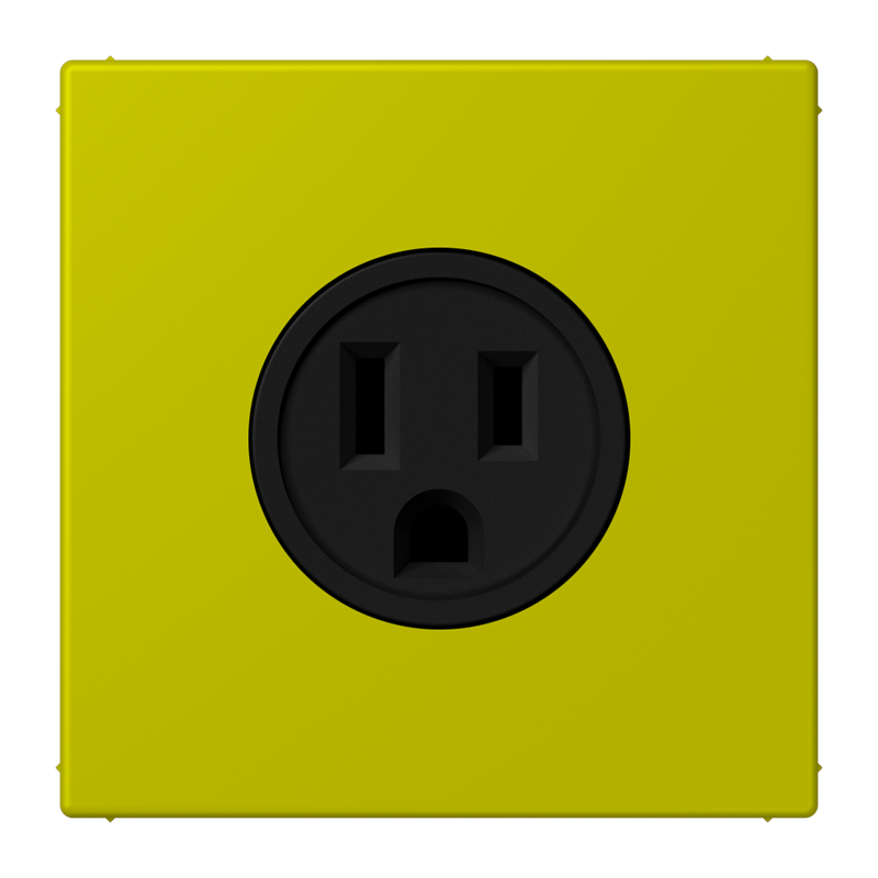 Изображение LC521-15249  Socket, US NEMA system - завод JUNG