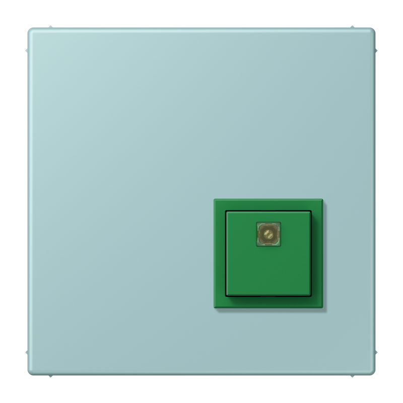 Изображение NRSLC0834AT214  Reset button - завод JUNG