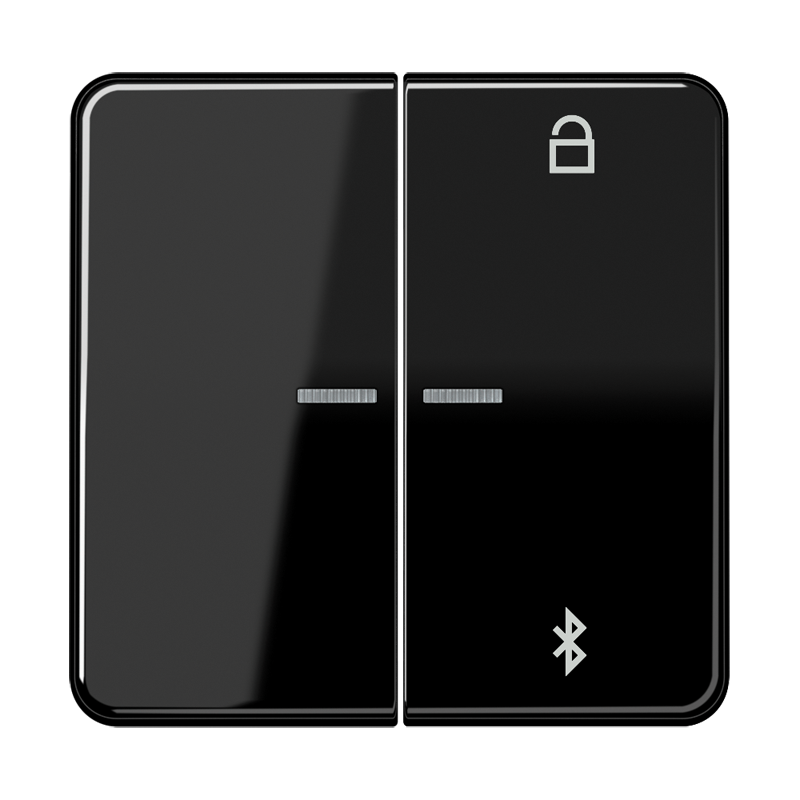 Изображение CD1751BTSW  Таймер универсальный Bluetooth - завод JUNG