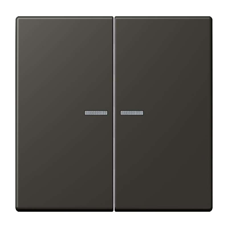 Изображение LC102KO5259  Клавиша с окошком - завод JUNG