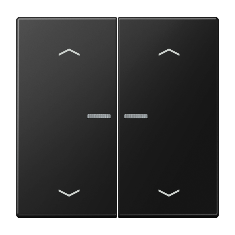 Изображение BTLS17102PSWM  JUNG HOME кнопка, 2 группы с символами «стрелки» - завод JUNG