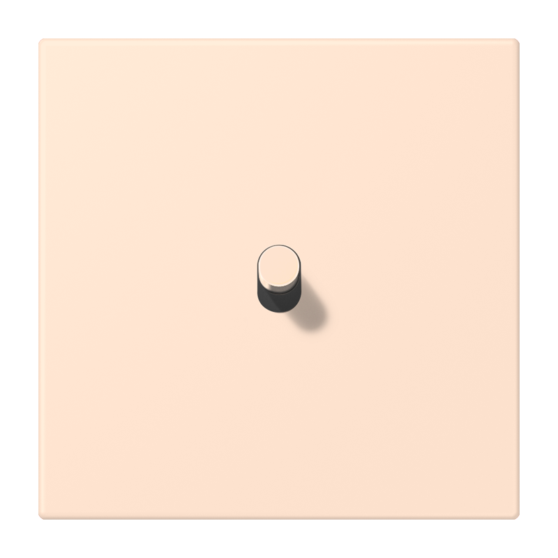 Изображение LC12-0R0228  Центральная плата с тумблером «цилиндр» - завод JUNG
