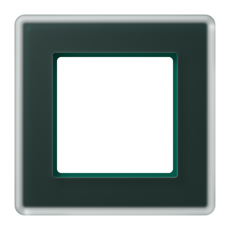 Изображение AV581GLMSG  Стеклянная рамка, сатиновая - завод JUNG