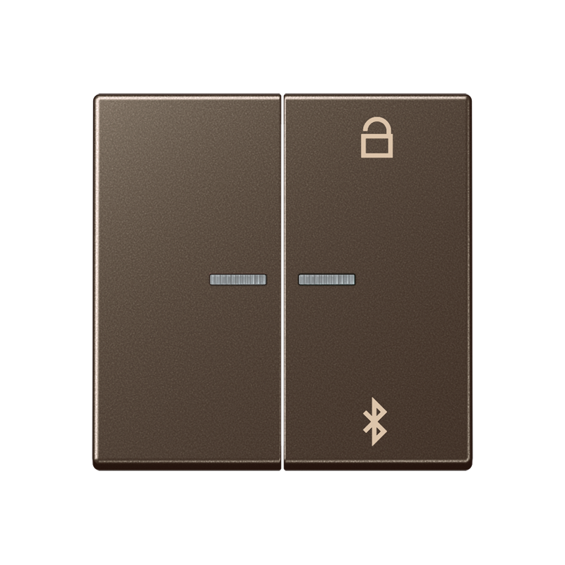 Изображение A1751BTMO  Таймер универсальный Bluetooth - завод JUNG