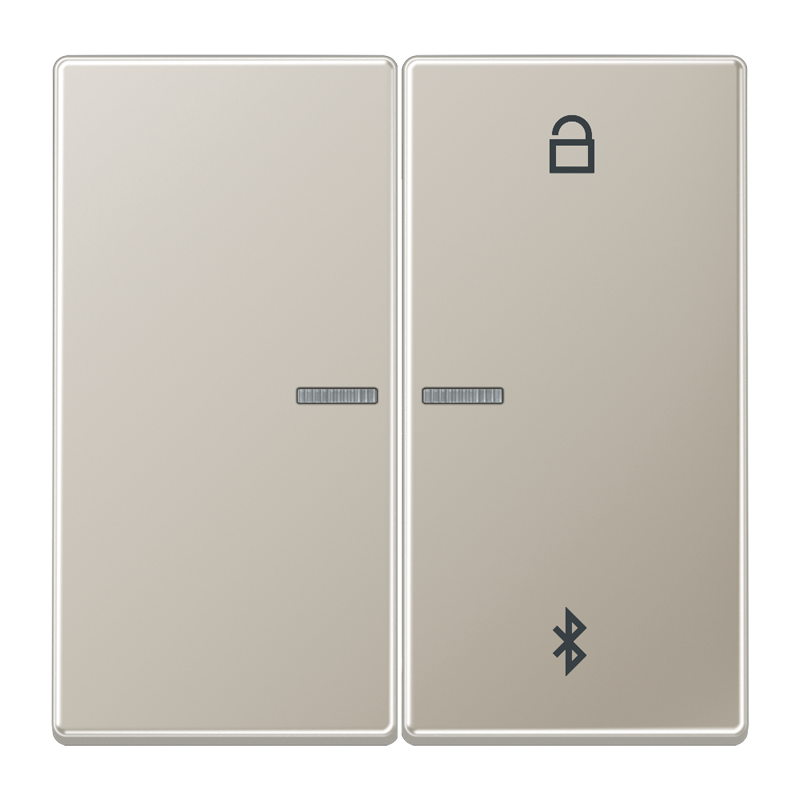 Изображение ES1751BT  Таймер универсальный Bluetooth - завод JUNG