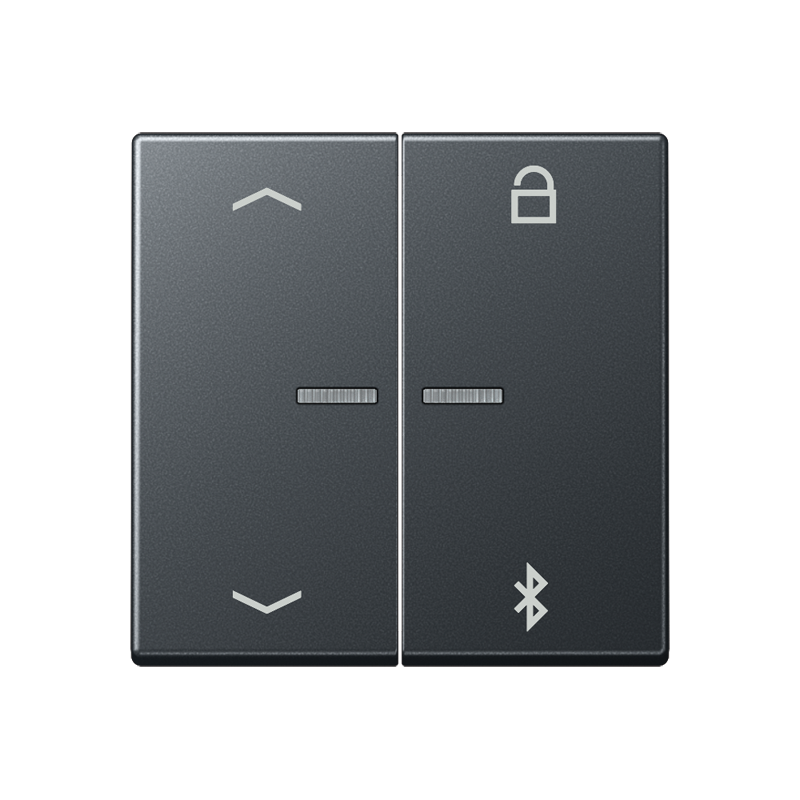 Изображение A1751BFPBTANM  Таймер универсальный Bluetooth «стрелки» - завод JUNG