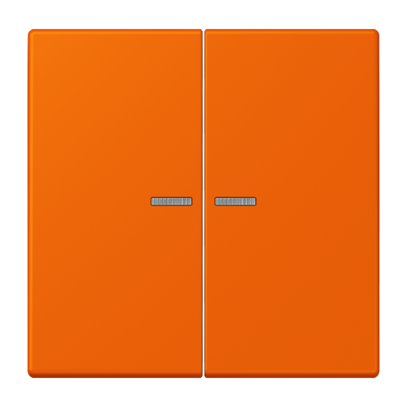 Изображение LC102KO5224  Клавиша с окошком - завод JUNG