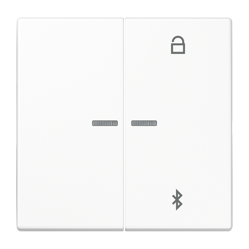 Изображение LS1751BTWW  Таймер универсальный Bluetooth - завод JUNG