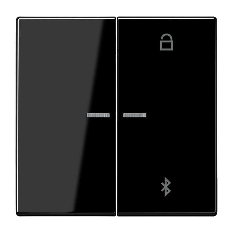 Изображение LS1751BTSW  Таймер универсальный Bluetooth - завод JUNG