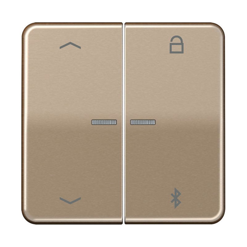 Изображение CD1751PBTGB  Таймер универсальный Bluetooth «стрелки» - завод JUNG