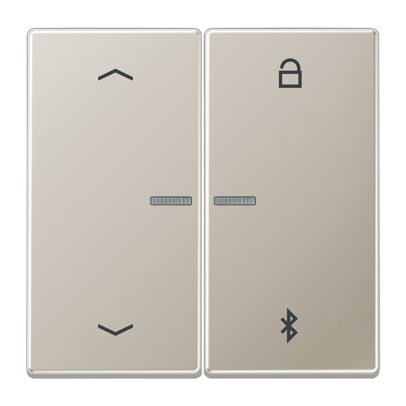 Изображение ES1751PBT  Таймер универсальный Bluetooth «стрелки» - завод JUNG
