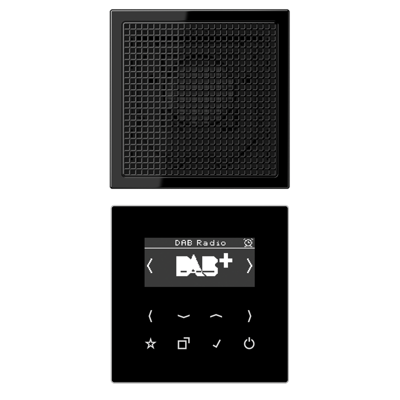 Изображение DABLS1SW  Смарт радио DAB+, моно - завод JUNG