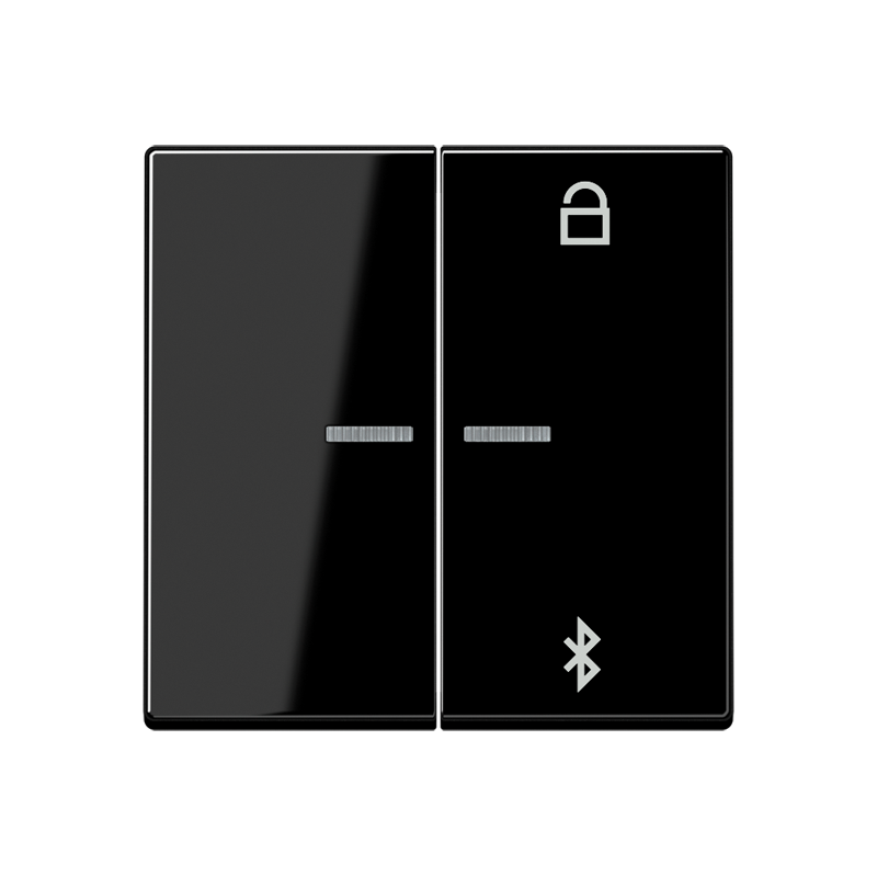 Изображение A1751BFBTSW  Таймер универсальный Bluetooth - завод JUNG
