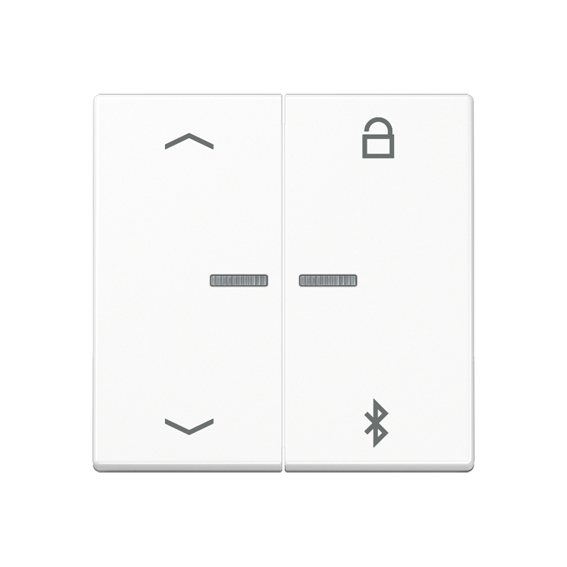 Изображение A1751PBTWW  Таймер универсальный Bluetooth «стрелки» - завод JUNG