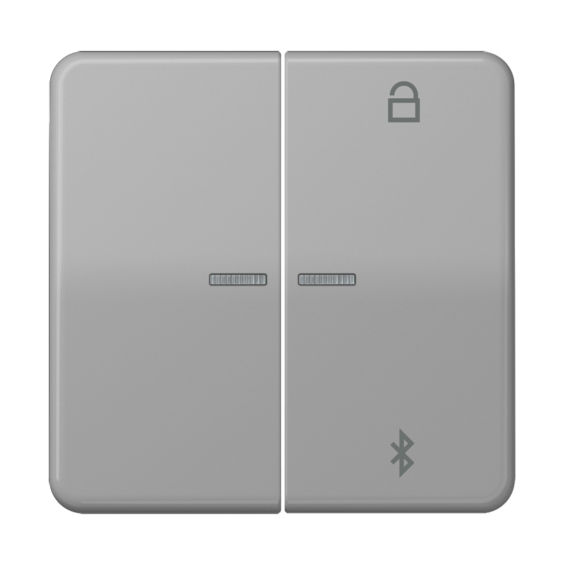 Изображение CD1751BTGR  Таймер универсальный Bluetooth - завод JUNG