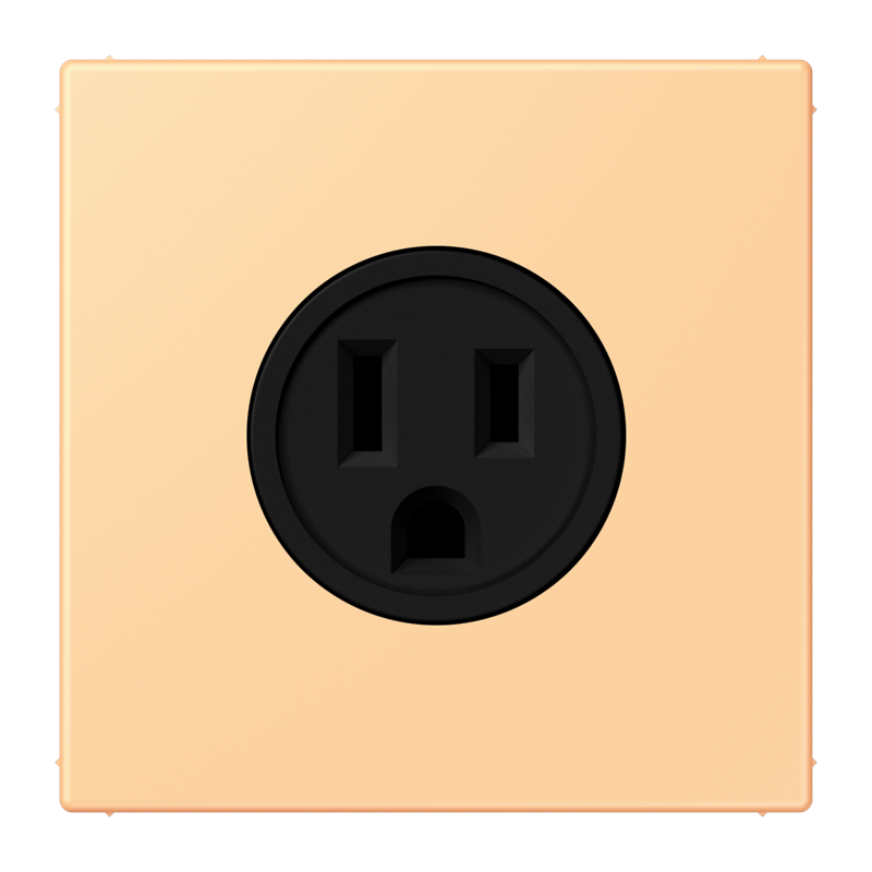 Изображение LC521-15258  Socket, US NEMA system - завод JUNG