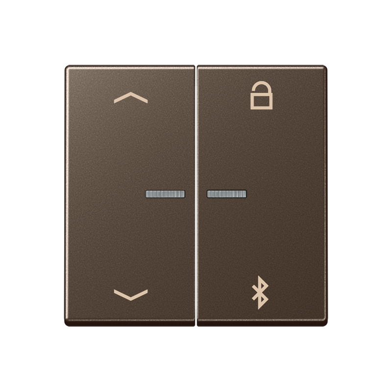 Изображение A1751PBTMO  Таймер универсальный Bluetooth «стрелки» - завод JUNG