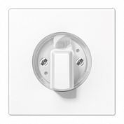 Изображение Kрышки для роторных диммеров и выключателей