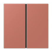 Изображение F 40