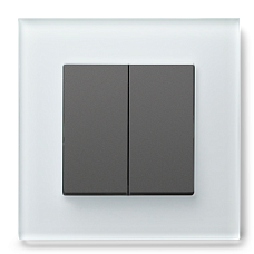 Выключатель двухклавишный JASMART G-Glass рамка из белого стекла со вставкой алюминий (титан)